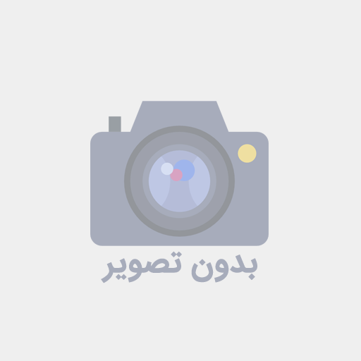 مقاله آماده با موضوع اختلالات در مهارتهای زبانی (گ